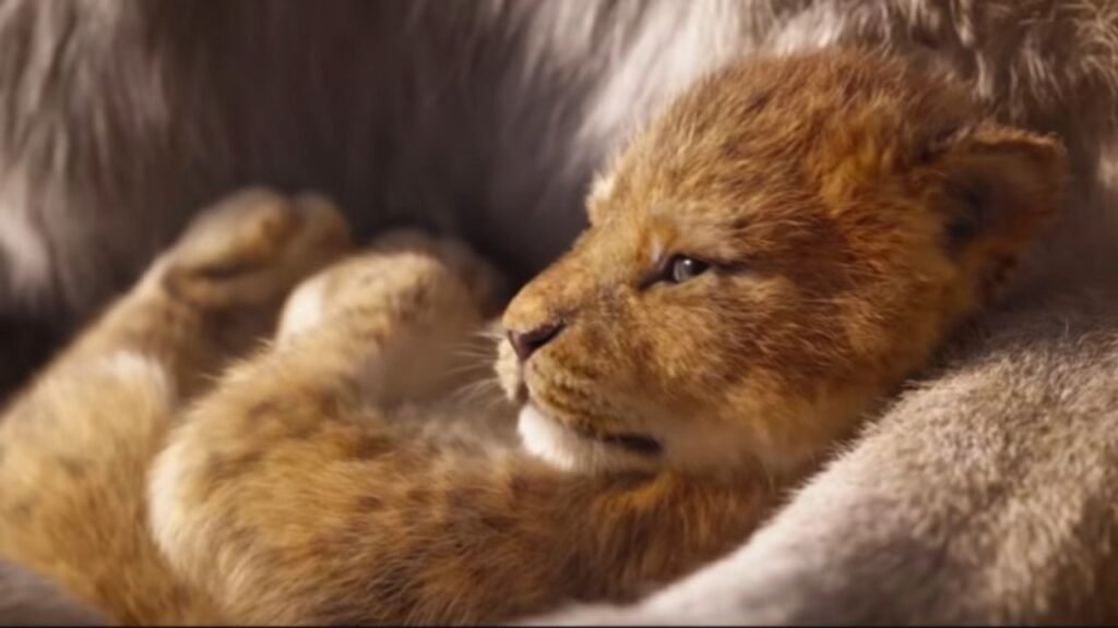 Disney Releases New Lion King Trailer Everyevery