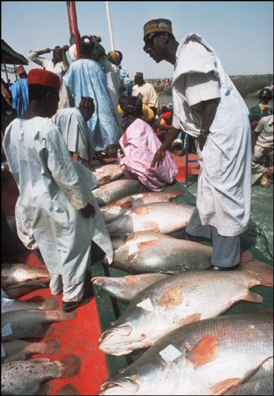 Stunning Vintage Photos Of Nigeria