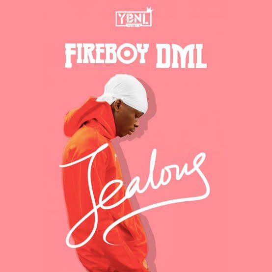 Fireboy Dml Vs Rema: Who Is The Next Big Thing?