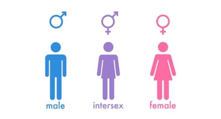 Intersex People