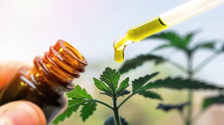 Cannabis Oil