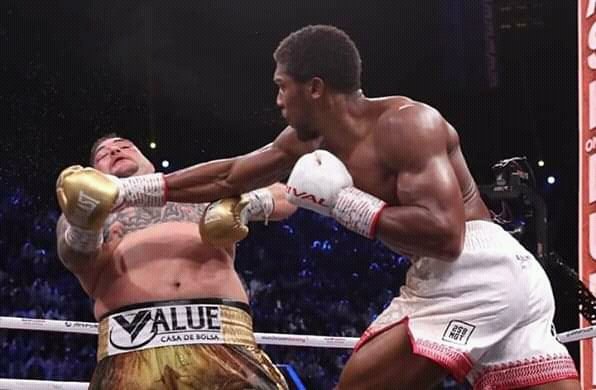 Breaking News: Anthony Joshua Reclaims The Unified Heavyweight Title, 2019