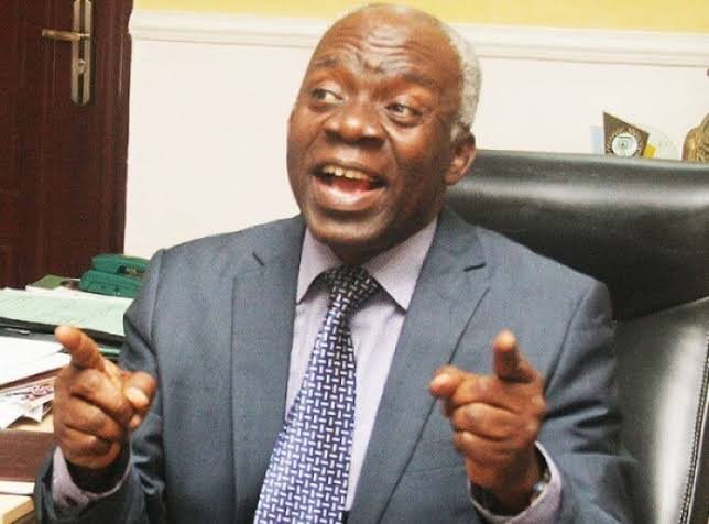 Kidnapped Nigerians Who Paid Ransom Are Free To Sue Fg For Refund – Falana