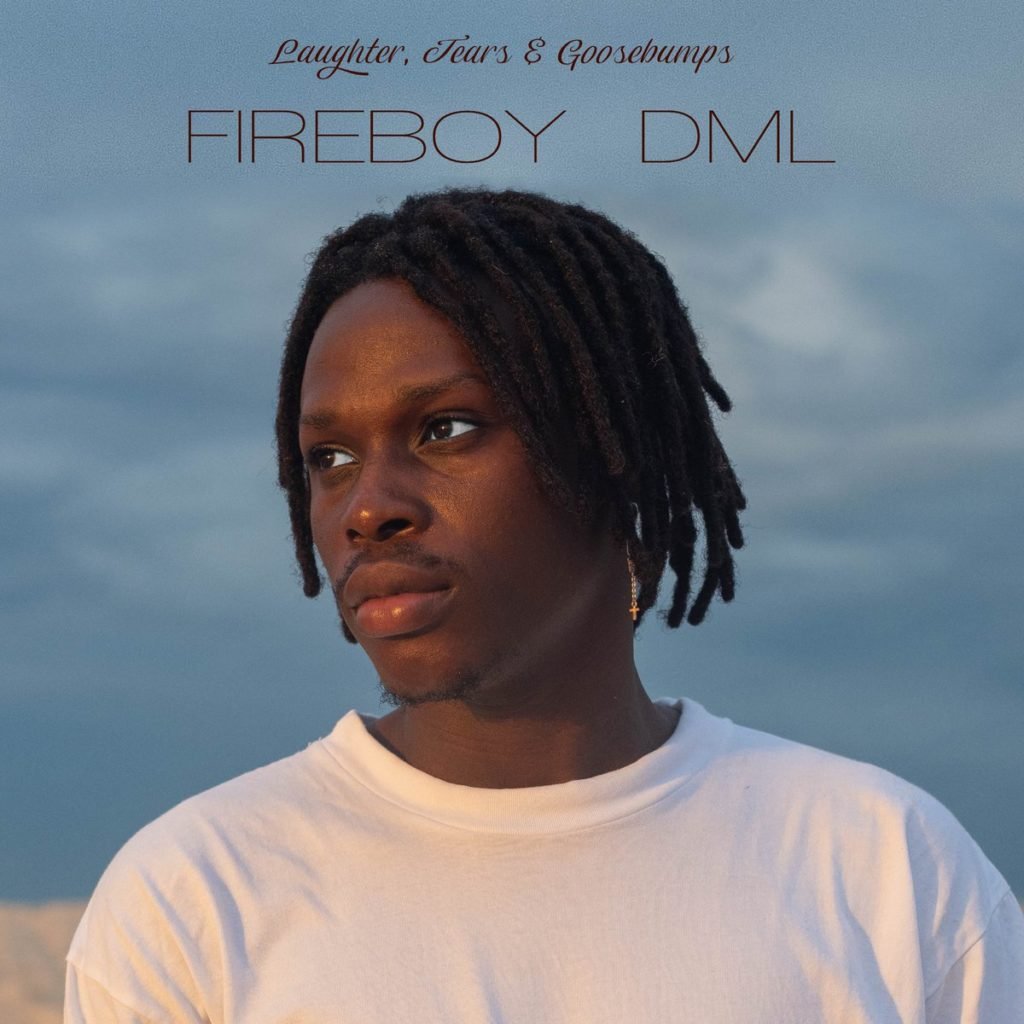 Fireboy Dml Top 5 Hit Songs You Need On Your Playlist