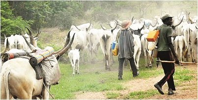 Miyetti Allah Expresses Readiness To Attend Public Hearing On Amotekun Bill