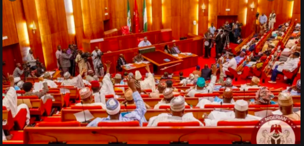10 Nigerian Senators Fo Into Isolation