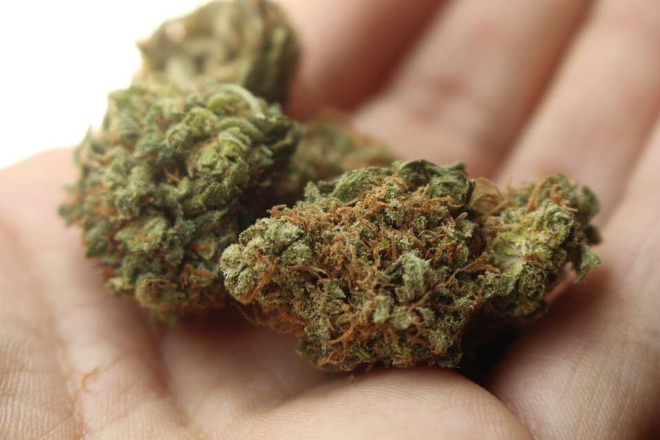 Coronavirus: Marijuana/Weed Smokers At High Risk, Say Experts