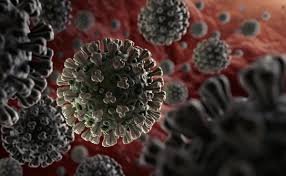 Adeboye And End Of Coronavirus Pandemic