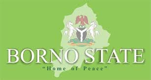 Borno State Health Workers Test Positive Fort Coronavirus