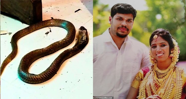 Man Murder Wife By Using Cobra