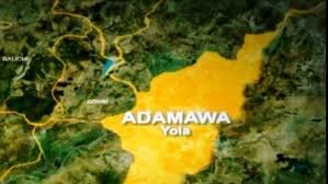 Adamawa Vice-Chairman Kidnapped