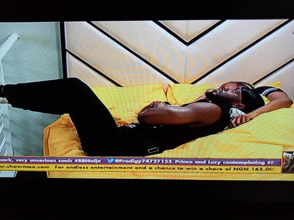 Bbnaija 2020: Prince Sells Lucy Out In Diary Session
