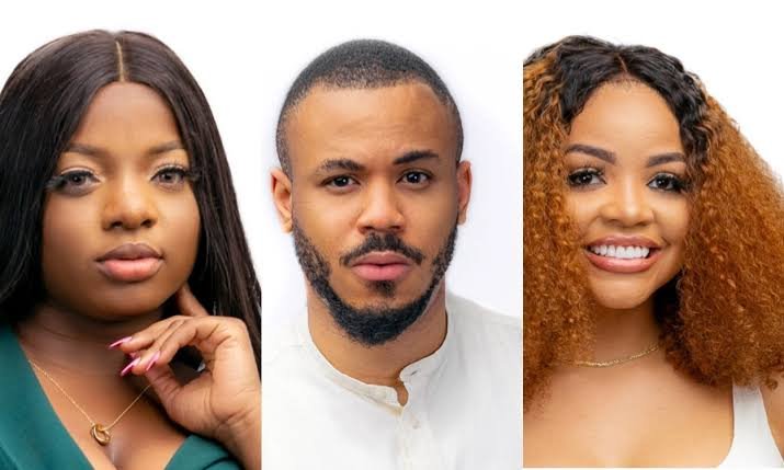 Bbnaija 2020: Details Of Ozo And Dorathy'S Relationship Exposed