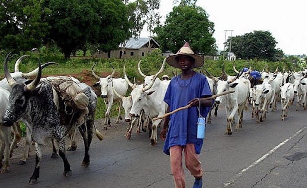 Fulani Herdsmen Unveils Reason For Showing Interest In South-East