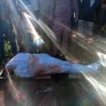 Bobrisky Begs For Jimoh Ishaq'S Parent Account Details For Cash Gift