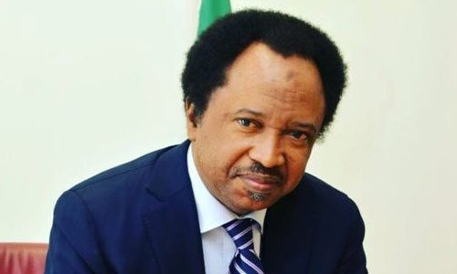 Shehu Sani Reacts