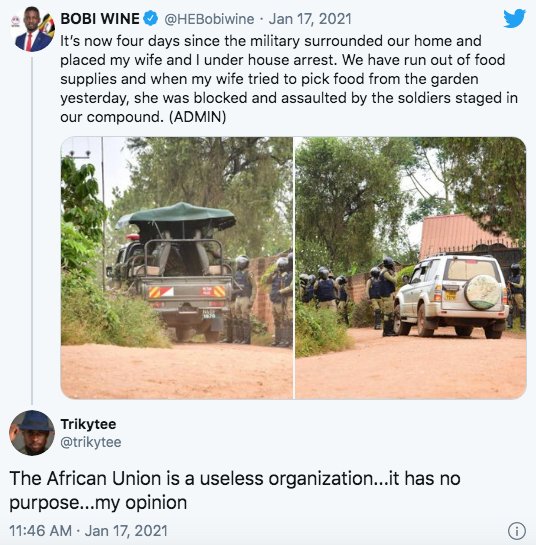 Trikytee Gives Controversial Opinion About Africa