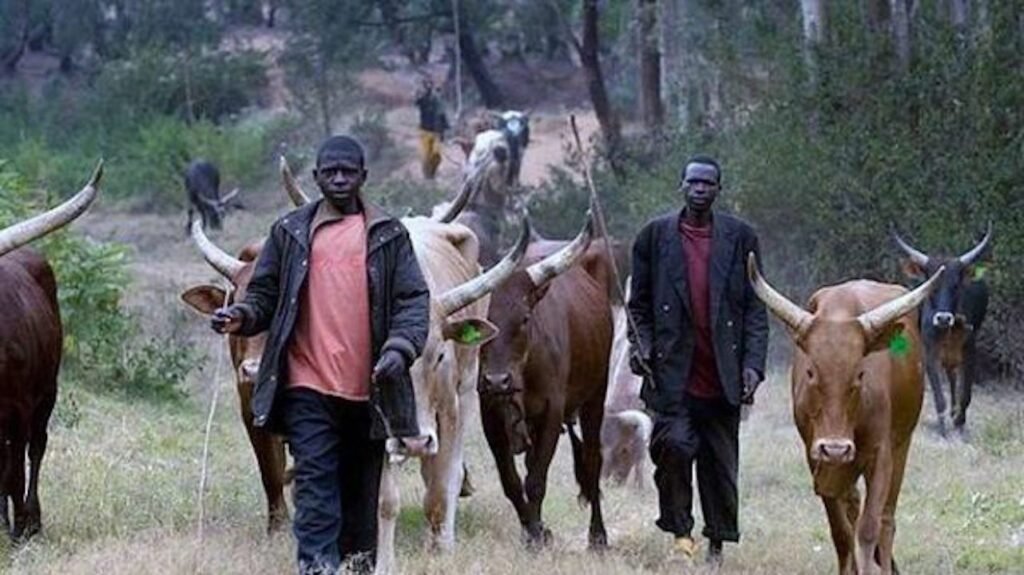 Herdsmen Invade Ogun Community, Kills Farmer