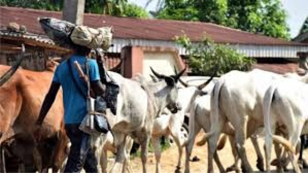 Herders Give Conditions For Peace In Nigeria
