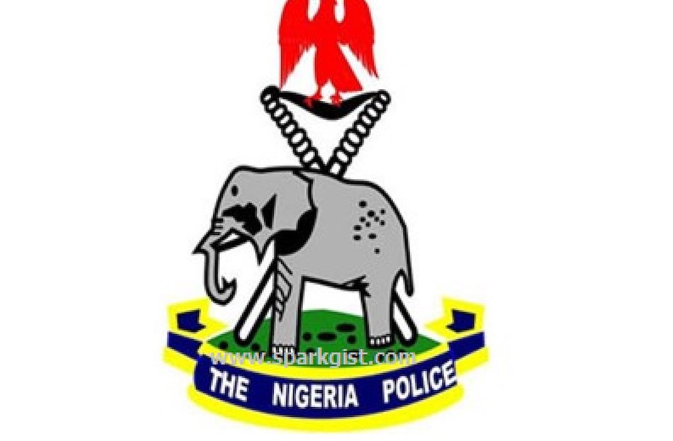Police In Niger State Record Major Milestone