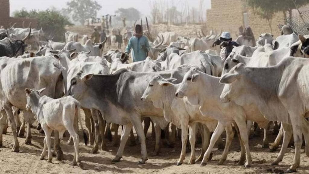 Reprisal Attack: Seventeen-Year-Old Fulani Pastoralist Killed With 4 Cows