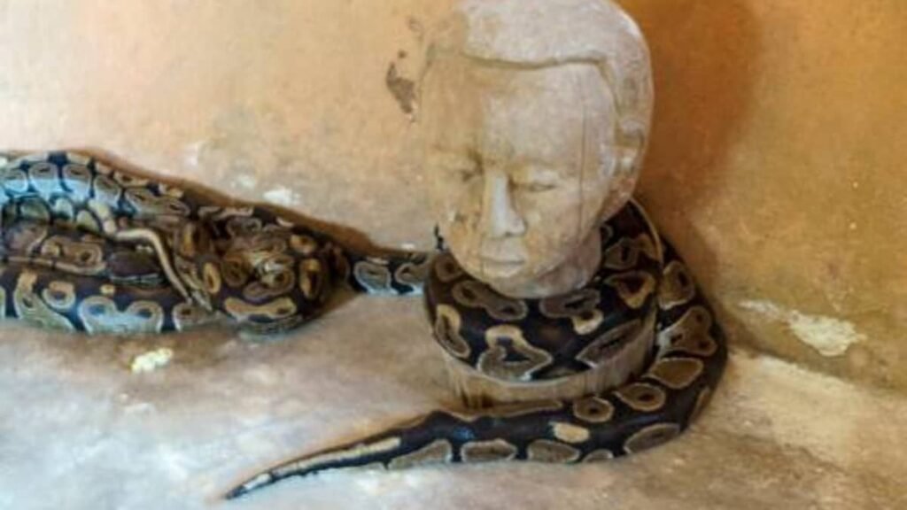 5 Places In Nigeria Where Snakes Are Worshipped