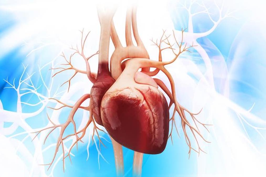 Meet Man With Rechargeable Heart
