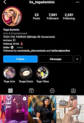 Bbnaija Season 6 Female Housemates' Social Media Handles