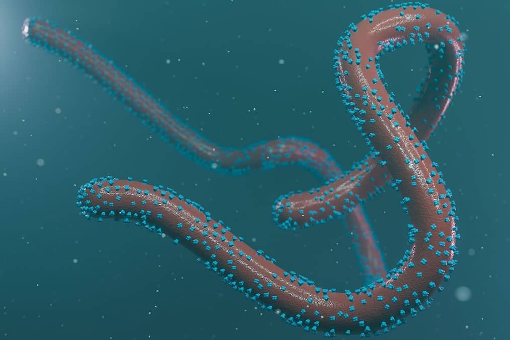 Deadly Marburg Virus Hits West Africa