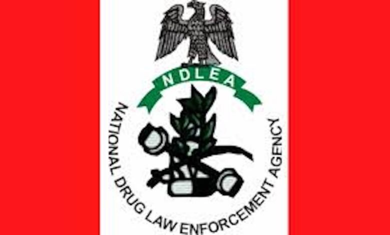 Ndlea: Female Drug Lord Nabbed In Delta State