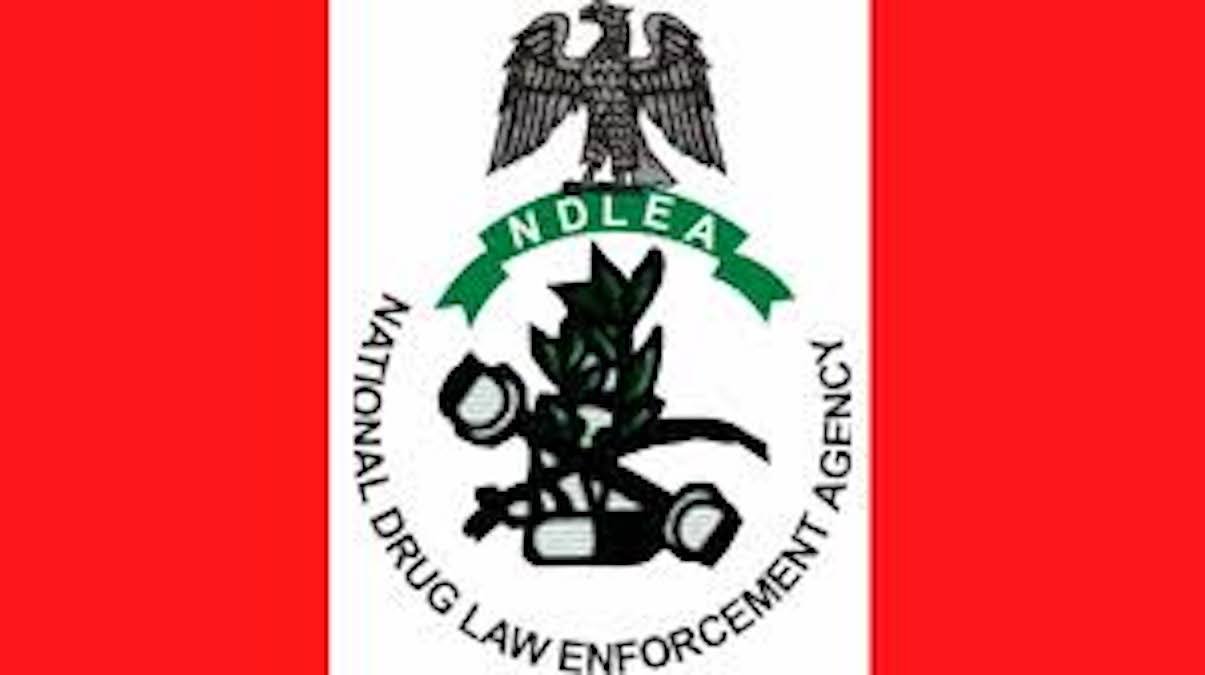 ndlea-female-drug-lord-nabbed-in-delta-state-everyevery