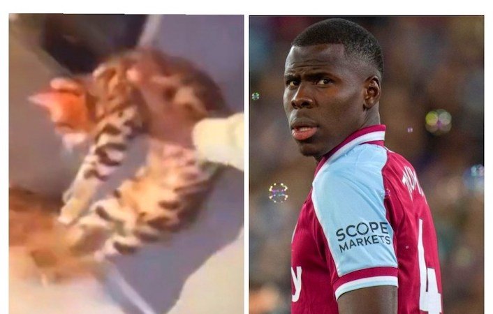 Zouma Brothers To Appear In Court For Harming Cat
