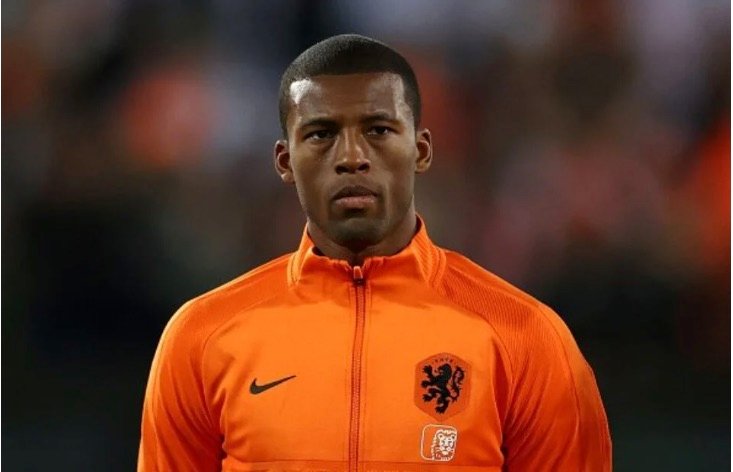 Georginio Wijnaldum Doubtful For World Cup
