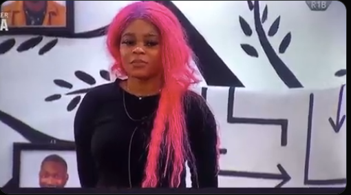 Bbn S7: Chichi Gives Reasons Why She Carters For Level 2 Housemates