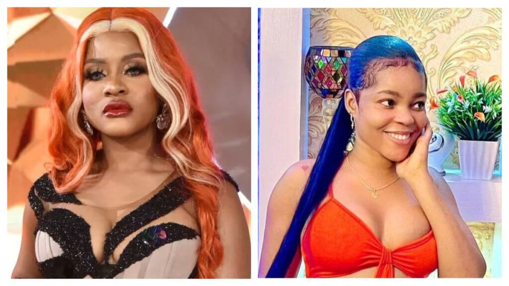 Bbnaija S7; Another Violent Fight Starts As Chichi Gives Stern Warning To Phyna And Sends Terrible Messages To Her