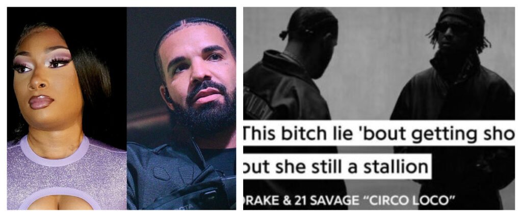 Why Drake Decided To Diss Megan Thee Stallion. Right Or Not?