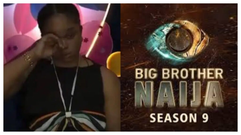 Bbnaija Season 9: Parrot'S Gossip Stirs Up Drama, Onyeka Responds